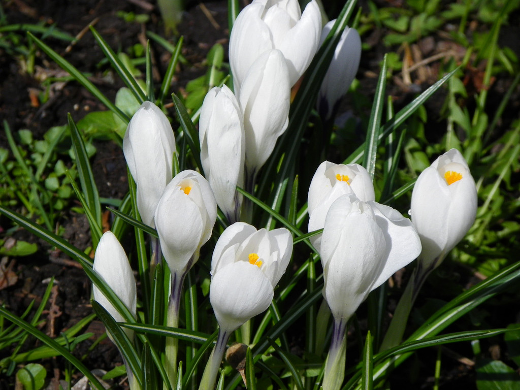 101_0026_jpg-1381357978