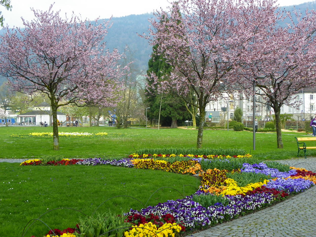 101_5907_jpg-1381358036