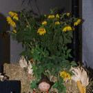 DSC00012.JPG