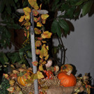 DSC0011.JPG