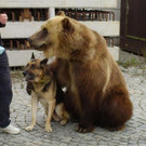 ABD0016-20131010.jpg
