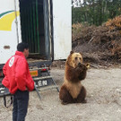 ABD0044-20131010.jpg
