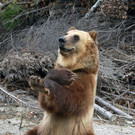 ABD0045-20131010.jpg