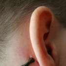 ABD0118-20131009.jpg