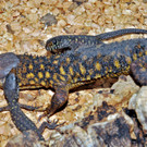 ABD0042-20131009.jpg