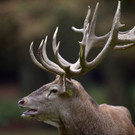ABD0027-20131008.jpg