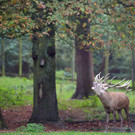 ABD0029-20131008.jpg