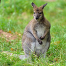 ABD0018-20131008.jpg