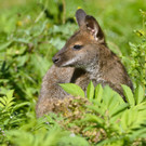 ABD0017-20131008.jpg