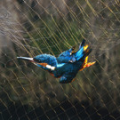 ABD0024-20131005.jpg