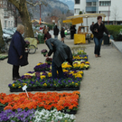 Impressionen vom ersten Götzner Markt