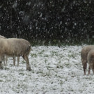 b__hm-schnee.JPG