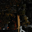 111013schneeat04003aktivnews023.JPG