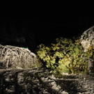 111013schneeat04003aktivnews020.JPG