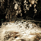 111013schneeat04003aktivnews012.JPG