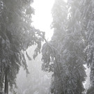 IBD0514-20131011.jpg
