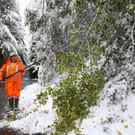 Schnee in Übersaxen