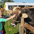 Viehausstellung H__chst 2_jpg-1381505615