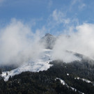 IMG_9540.jpg