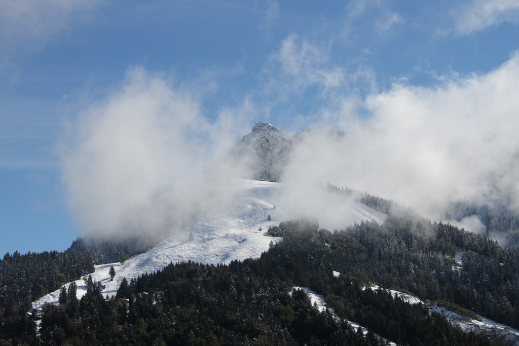 IMG_9540.jpg