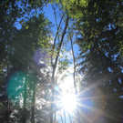 IMG_9551.JPG