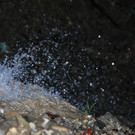 IMG_9566.JPG