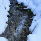 IMG_9568.JPG