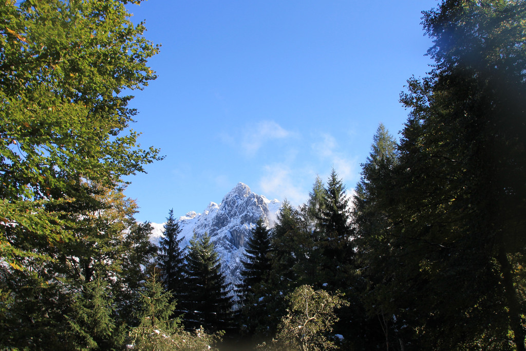 IMG_9582.JPG