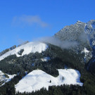IMG_9584.jpg