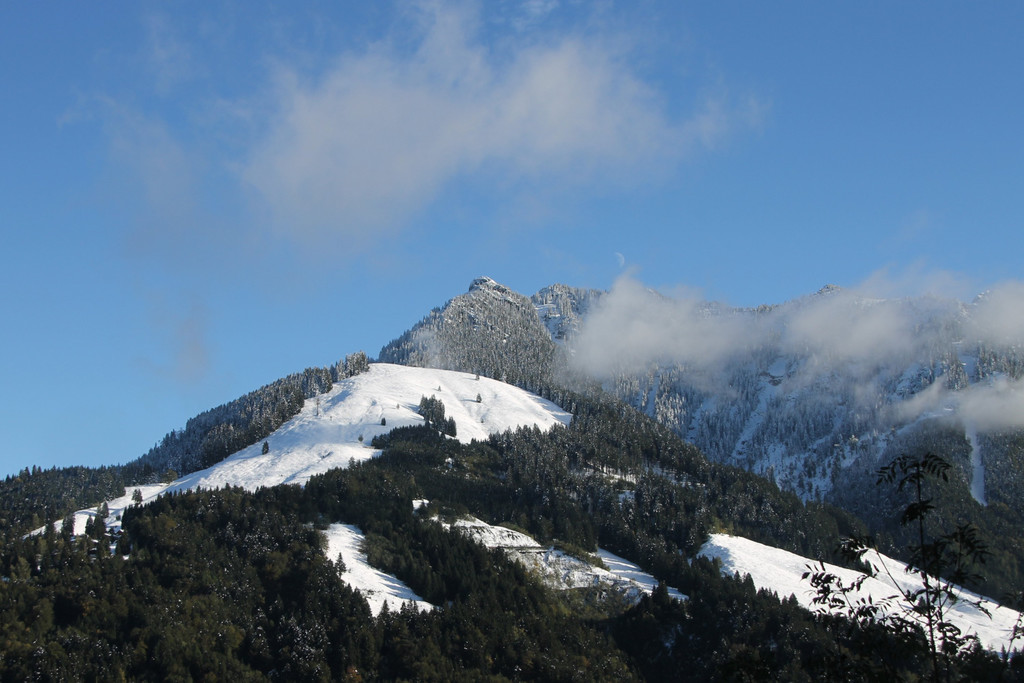 IMG_9605.jpg