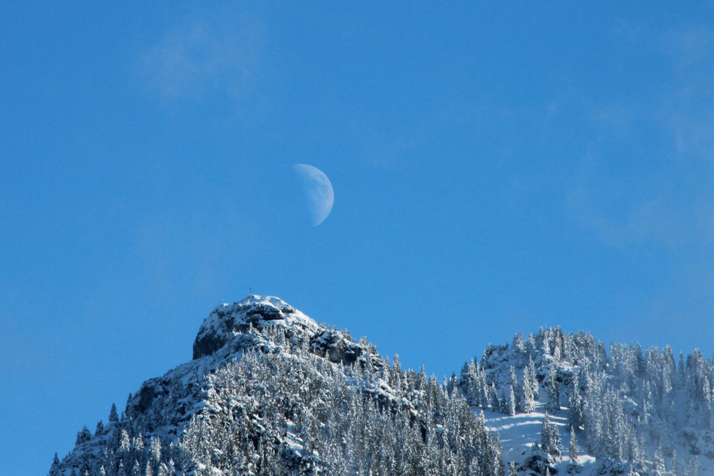 IMG_9613.jpg