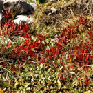 DSC00326 _Large__JPG-1381569055