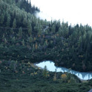 DSC00244 _Large__JPG-1381569065