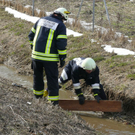 normal_20032010a8vulkwa8whaktivnews_20.jpg