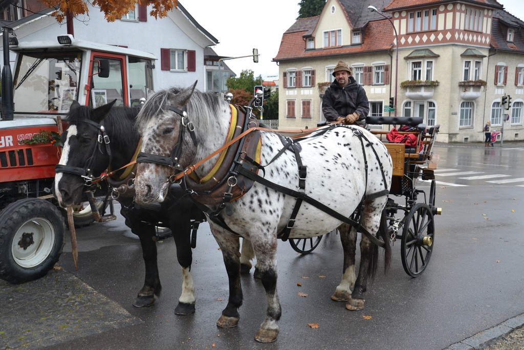 DSC_0848_JPG-1381588238