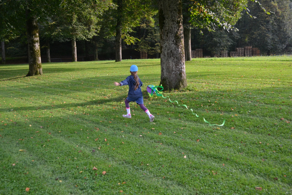 Drachen 042_JPG-1381598409