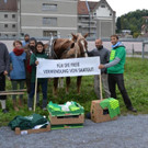 Beackerung der Reichenfeld-Wiese
