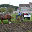03 Vereinsmitglieder Stadtgarten Feldkirch und die Fuhrhalter_JPG-1381599059