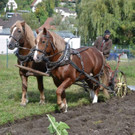 06 Fuhrhalter Hubert Kirchmair beim Bestellen des Ackers_JPG-1381599066