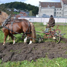 07 Fuhrhalter Hubert Kirchmair mit seinen Arbeitspferden Seppl und J__rgl_JPG-1381599068