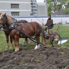 09 Fuhrhalter Hubert Kirchmair beim Umackern der Reichenfeld-Wiese_JPG-1381599071
