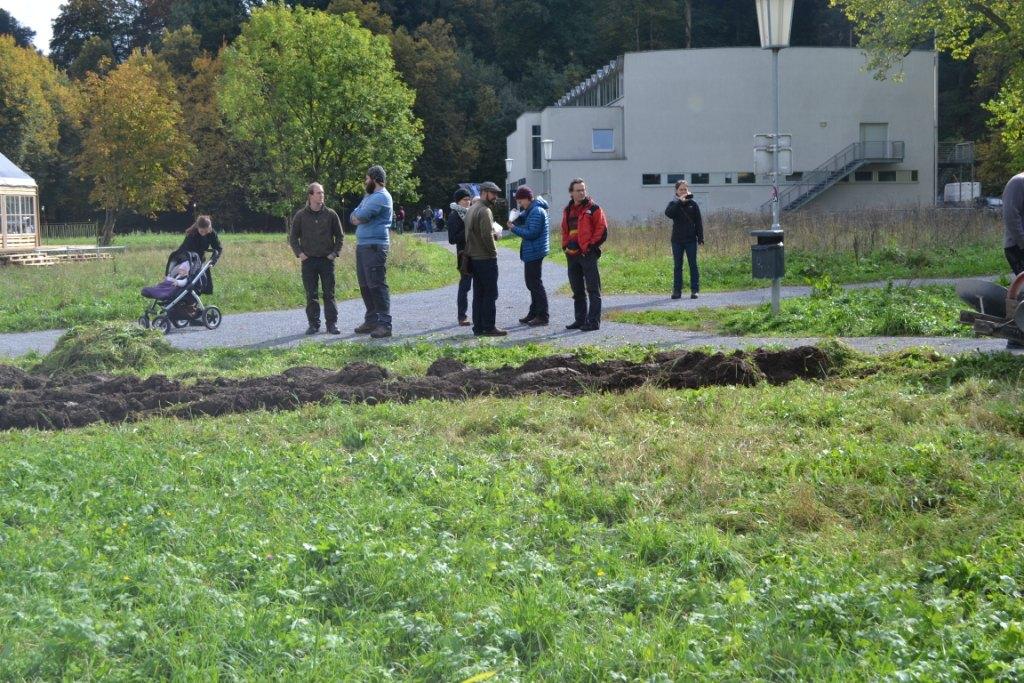 10 Vereinsmitglieder und interessierte Zaung__ste beobachteten die Feldbestellung_JPG-1381599074