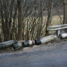 normal_200310tenneckgmaktivnews_20_41_.jpg