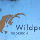 Frühschoppen im Wildpark