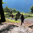 KOE_Wildpark 50 Jahr Jubilaeum 11_jpg-1381680015