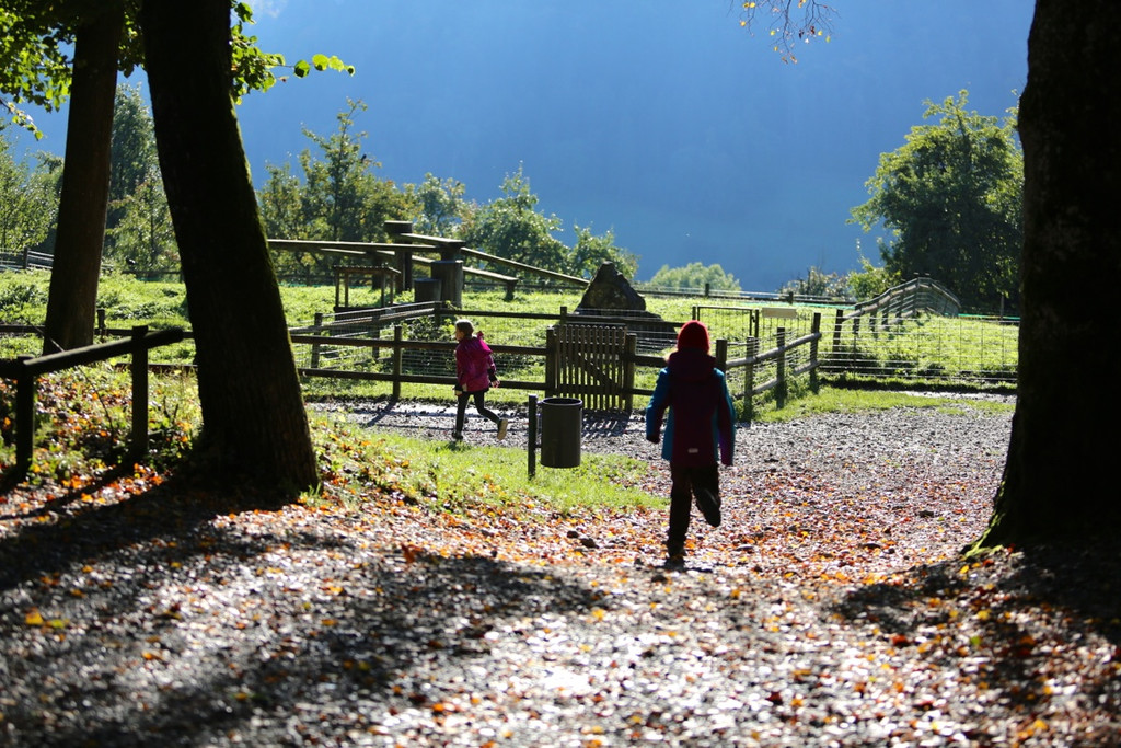KOE_Wildpark 50 Jahr Jubilaeum 11_jpg-1381680015