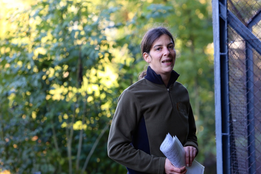 KOE_Wildpark 50 Jahr Jubilaeum 13_jpg-1381680027