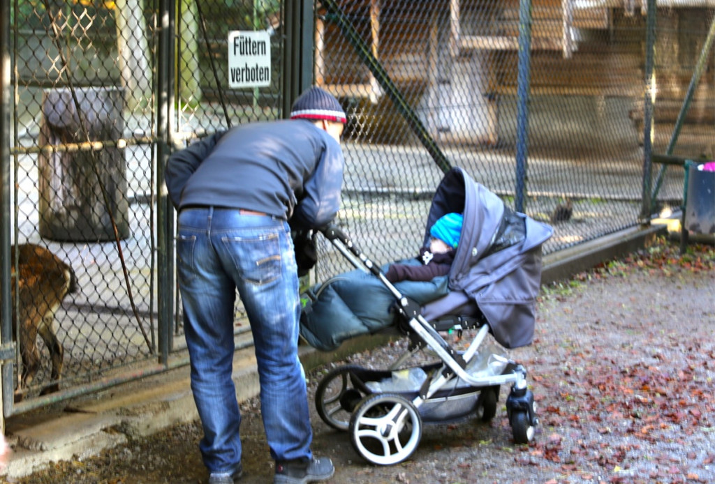 KOE_Wildpark 50 Jahr Jubilaeum 15_jpg-1381680043