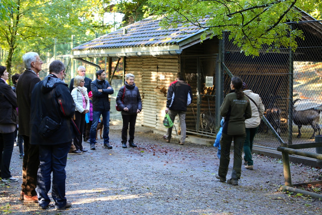 KOE_Wildpark 50 Jahr Jubilaeum 16_jpg-1381680052