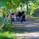 KOE_Wildpark 50 Jahr Jubilaeum 17_jpg-1381680060